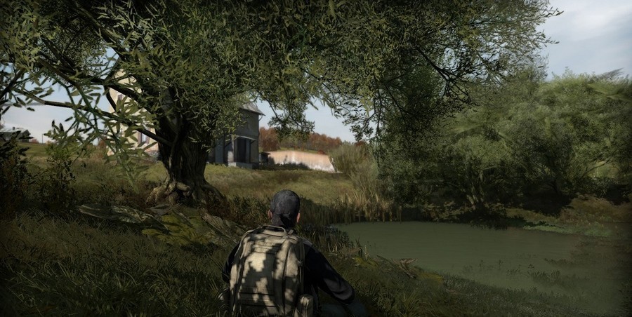 DayZ